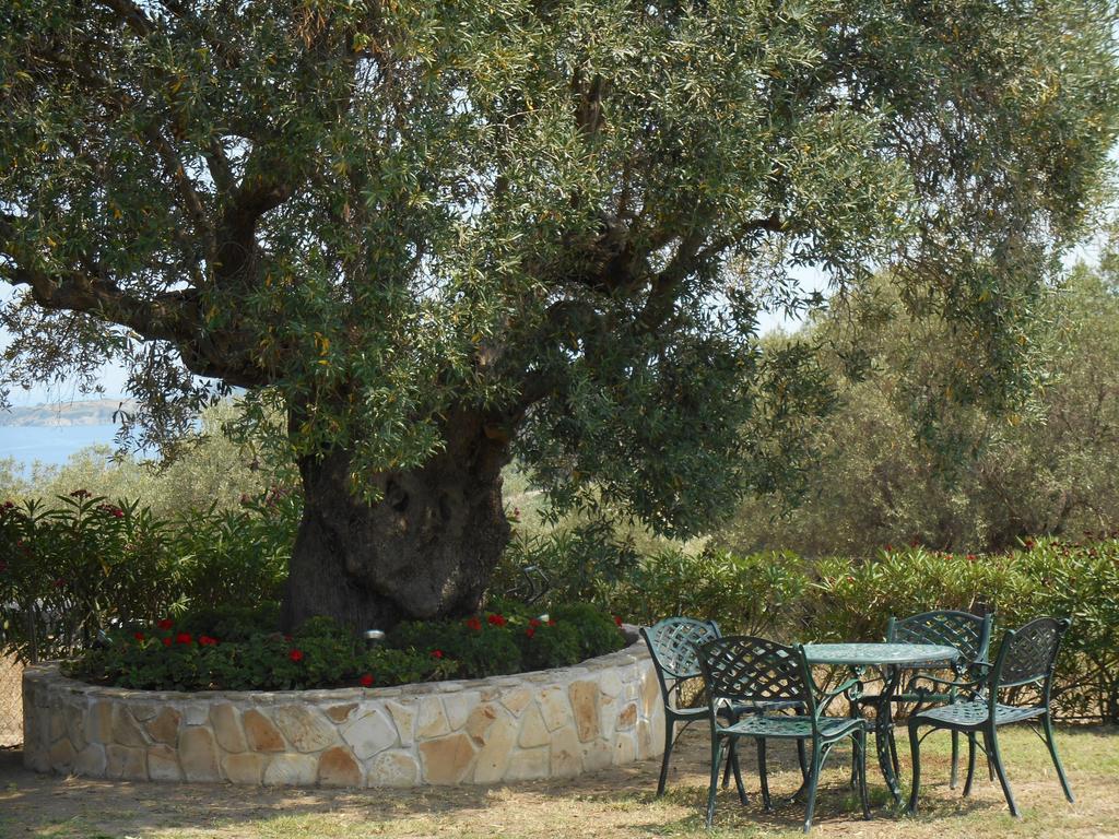 Heliactida House Holiday home