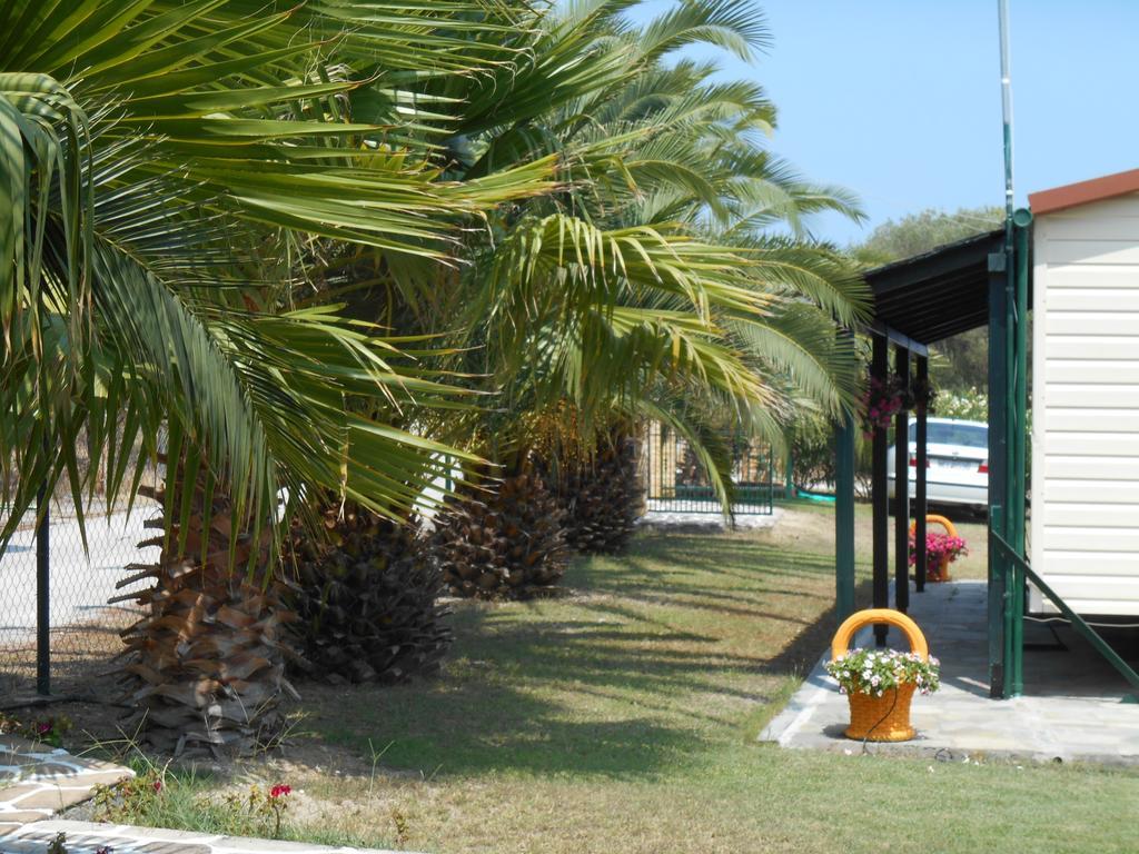 Heliactida House *